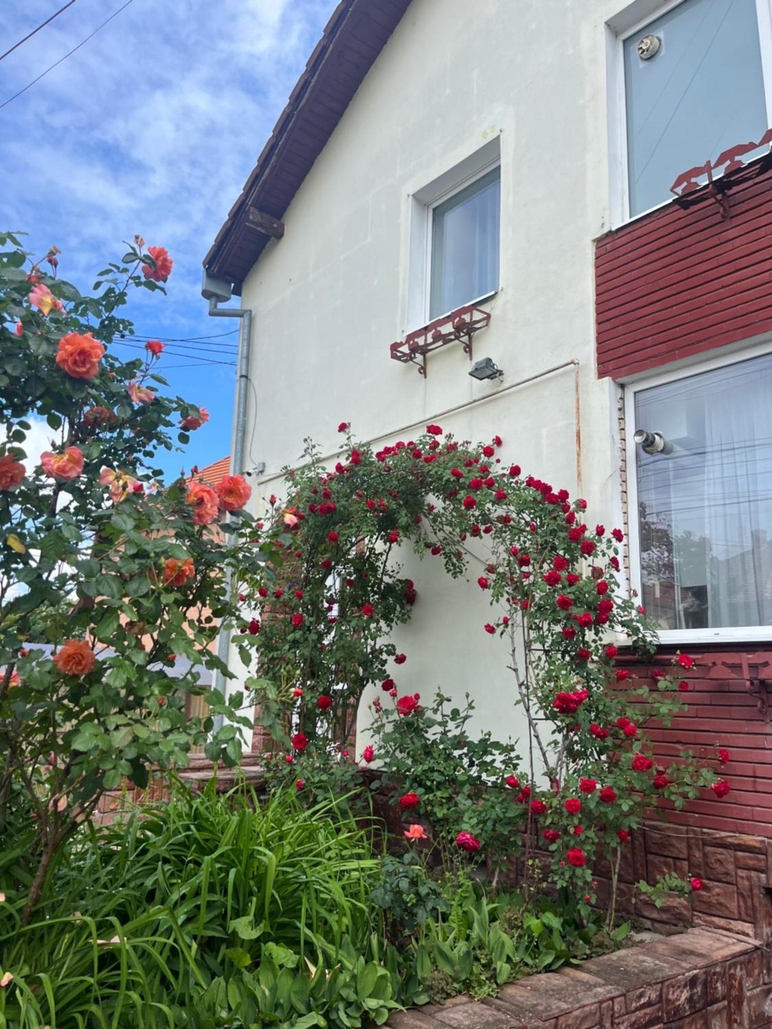 Casa Conti Hotel Sibiu Luaran gambar